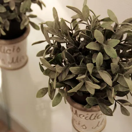 Condillac - Localisation Exceptionnelle 2 Avec Ascenseur Et Parking 아파트 *