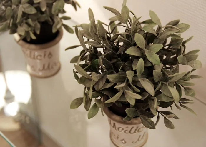 Condillac - Localisation Exceptionnelle 2 Avec Ascenseur Et Parking 公寓 *